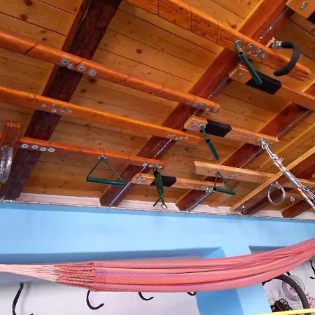 Triniti Vendeghaz Eger