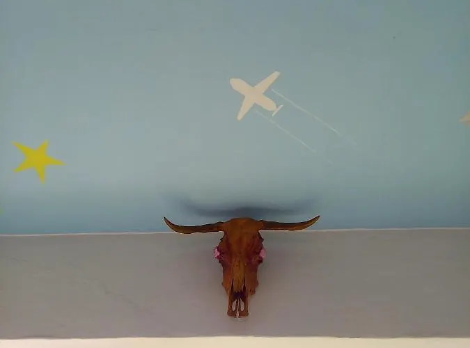 Triniti Vendeghaz Гостьовий будинок